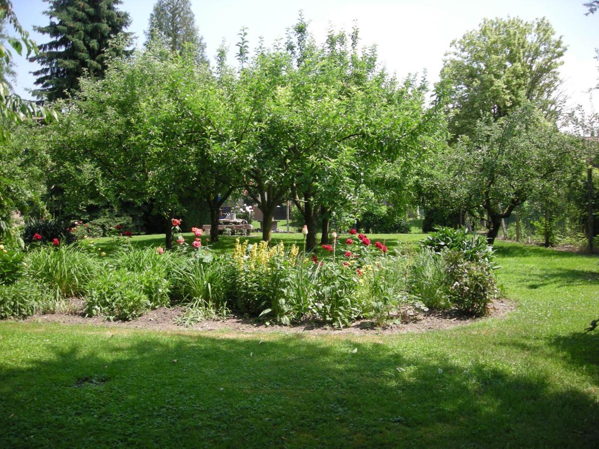 Chambre D'Hote Chez Lulu Saasenheim Екстер'єр фото